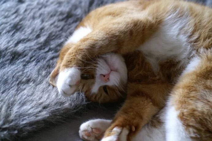 Фото ну вот и пятница. Поздравление с окончанием рабочей недели с пятницей. Стих про пятницу. Открытки с окончанием трудовой недели. Поздравление с пятницей.