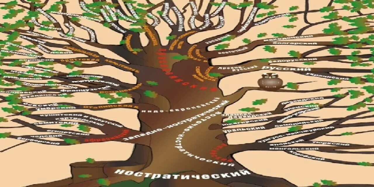 Праязык. Праязык человечества. праязык картинки. мировой праязык. индоевропейский праязык, жест вытянутых рук,.