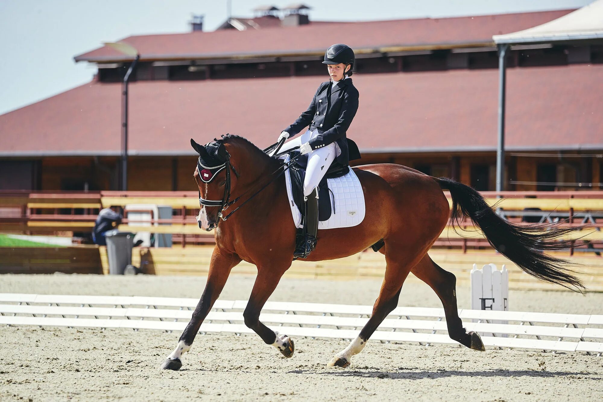 Эквестриан стокгольм розовый. Эквестриан лошади. Equestrian sport. Алиби эквестриан. Конный спорт.