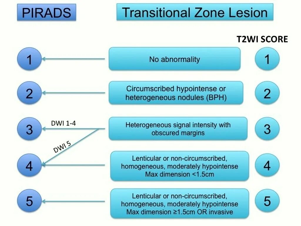 Pi-rads 2.1 классификация. Pirads шкала. Pirads классификация. ДГПЖ Pi rads 2.