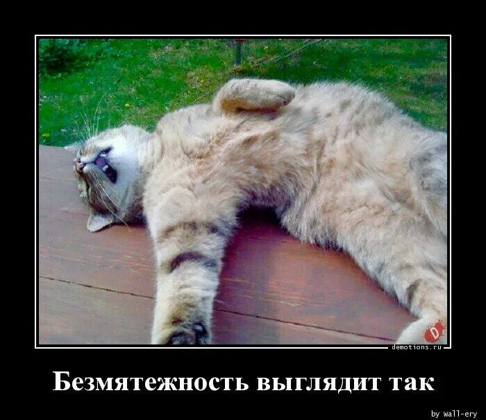 День общения с духом безмятежности картинки. Пятница демотиваторы смешные. день общения с духом безмятежности. безмятежность приколы. день общения с духом безмятежности 13 апреля.
