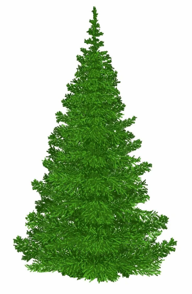 Елка Зеленая - купить в Москве, цена 1 190 руб., дата размещения: 08.12.2019 - О