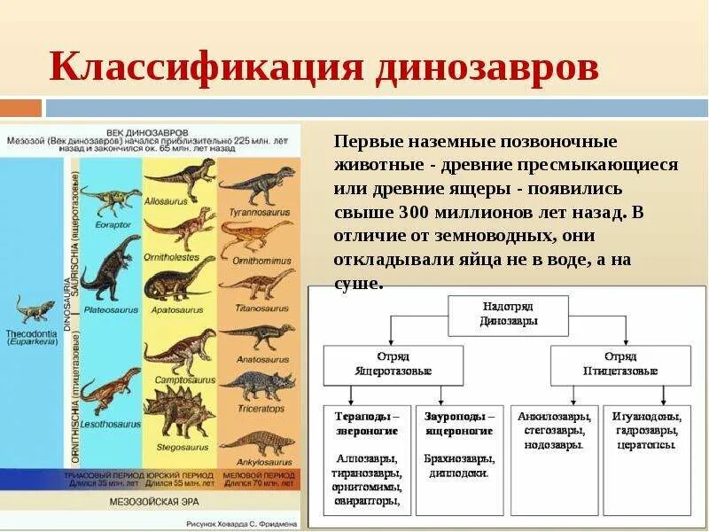 Направления эволюции животных. Классификация водных динозавров. направления эволюции в кайнозойскую эру.. кайнозойская эра развитие растительного мира таблица. развитие органического мира в кайнозойскую эру.
