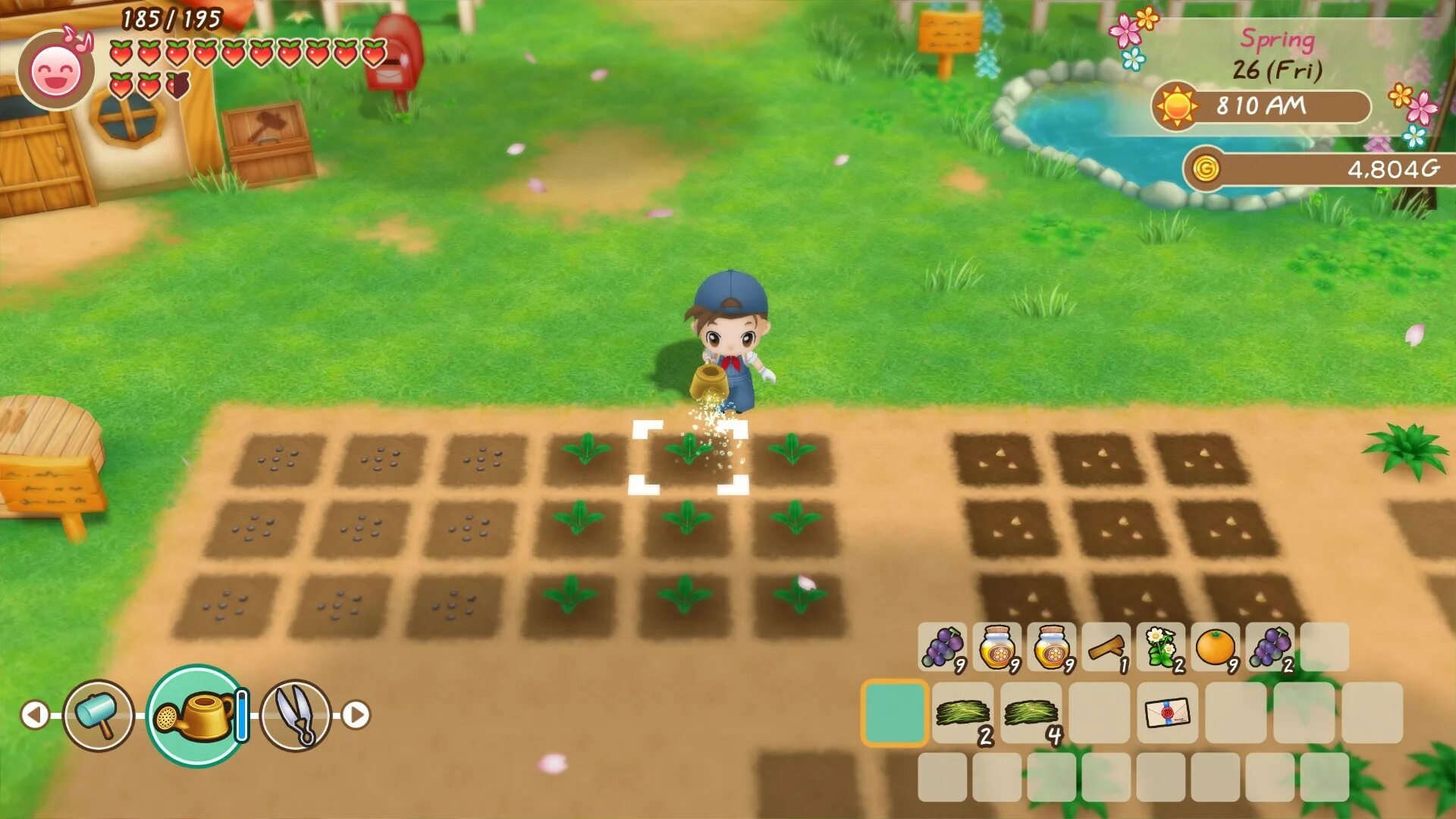 Story of seasons friends. Story of seasons friends. Story of seasons friends. Harvest moon story of seasons. Story of seasons: friends of mineral.