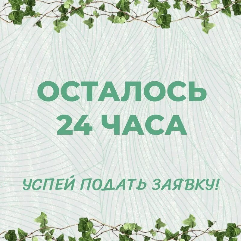 кнопка оформить заявку. успейте подать заявку. успей подать заявку. успейте подать заявку. успей подать заявку.