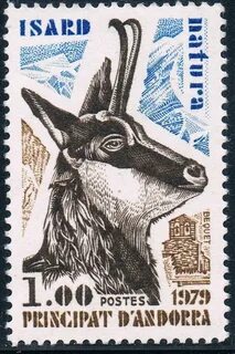 Животное 1979