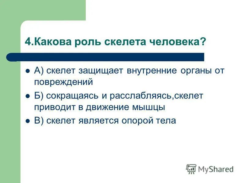 основные функции скелета человека кратко. какова роль скелета человека ответ. какова роль скелета человека ответ. функции скелета опорная защитная. какова роль скелета человека ответ.