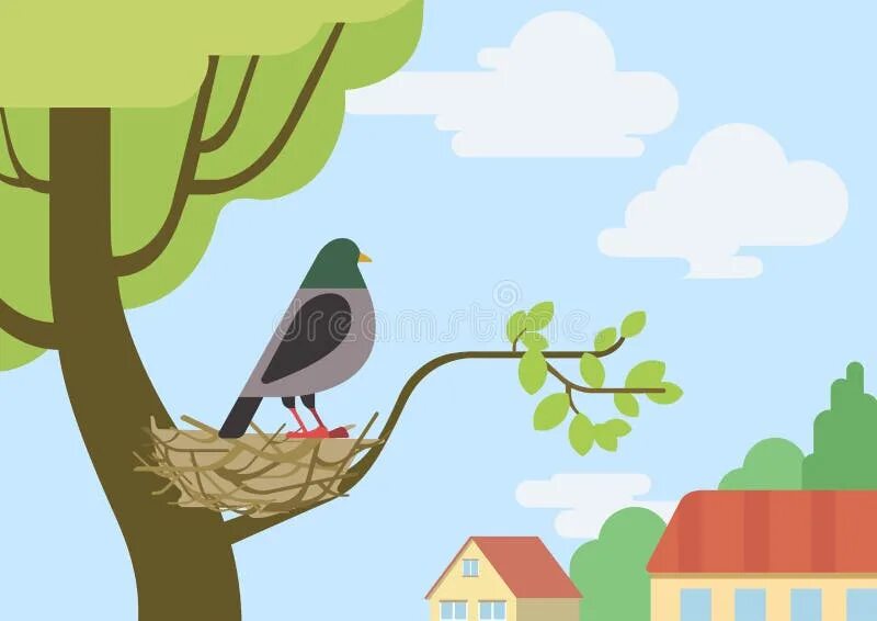 That bird is in the tree
