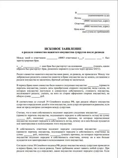После расторжения брака между супругами борисовыми