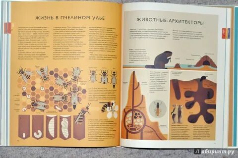 Иллюстрированный сборник