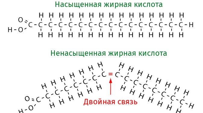 Насыщенные жирные кислоты что это. Насыщенные и ненасыщенные жирные кислоты. Ненасыщенные жиры и насыщенные жиры разница. Насыщенный и ненасыщенный жир. Насыщенные и ненасыщенные жирные кислоты биология.