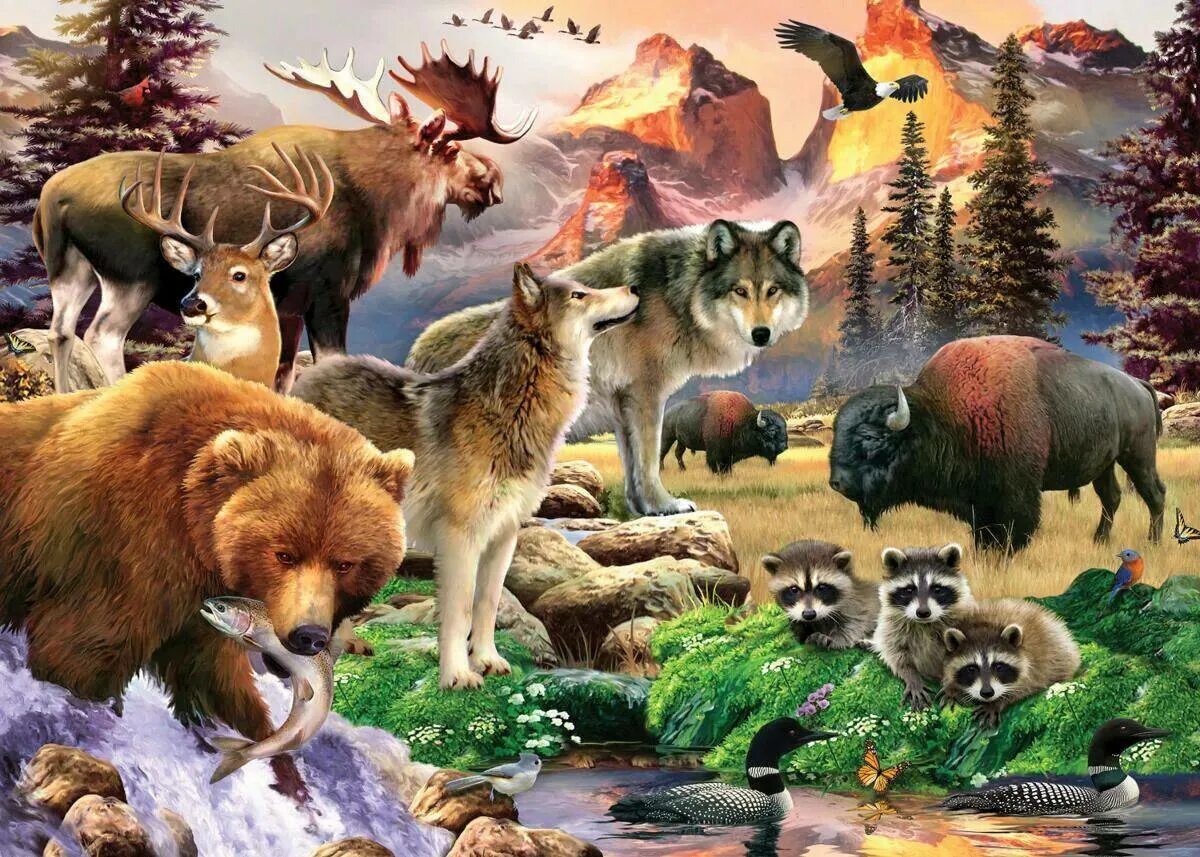 Моя жизнь в мире зверей 176. Howard Robinson художник. Много животных. Животные леса. Звери леса.