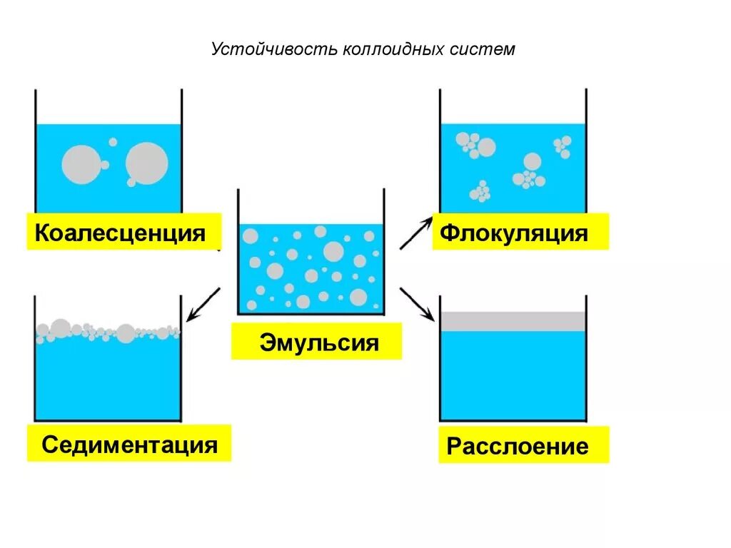 Отличие эмульсии. Коагуляция седиментация пептизация. Седиментация в коллоидных системах. Коалесценция коллоидных систем. Коалесценция суспензий.