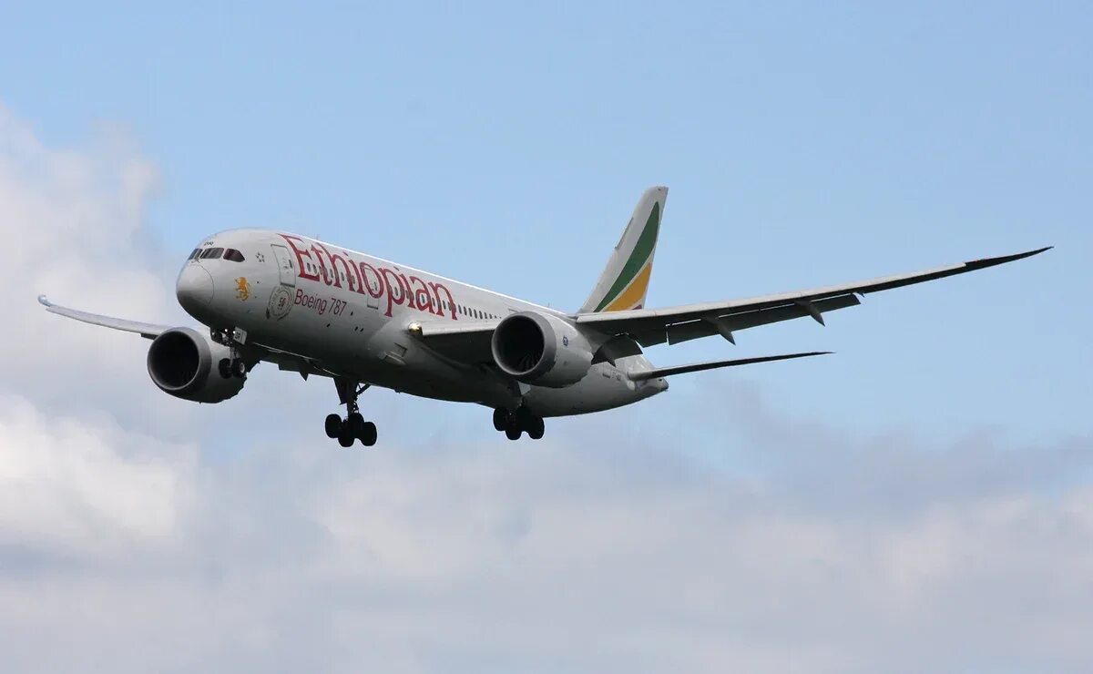 Авиакомпания Ethiopian Airlines. Эфиопия Аирлинес Боинг 787. Боинг 737 эфиопские авиалинии. Боинг 787 узбекских авиалиний. Ethiopian airlines отзывы