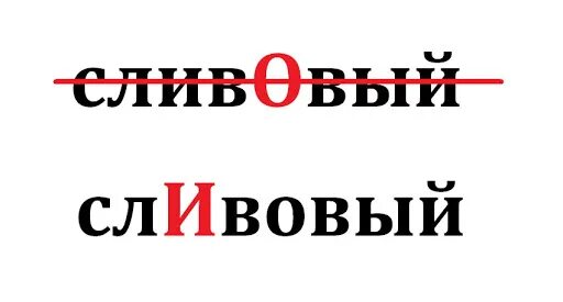 Ударение в слове балованный. Каталог ударение в слове. Алычовый ударение. Алычовый ударение. Ставим ударение правильно.