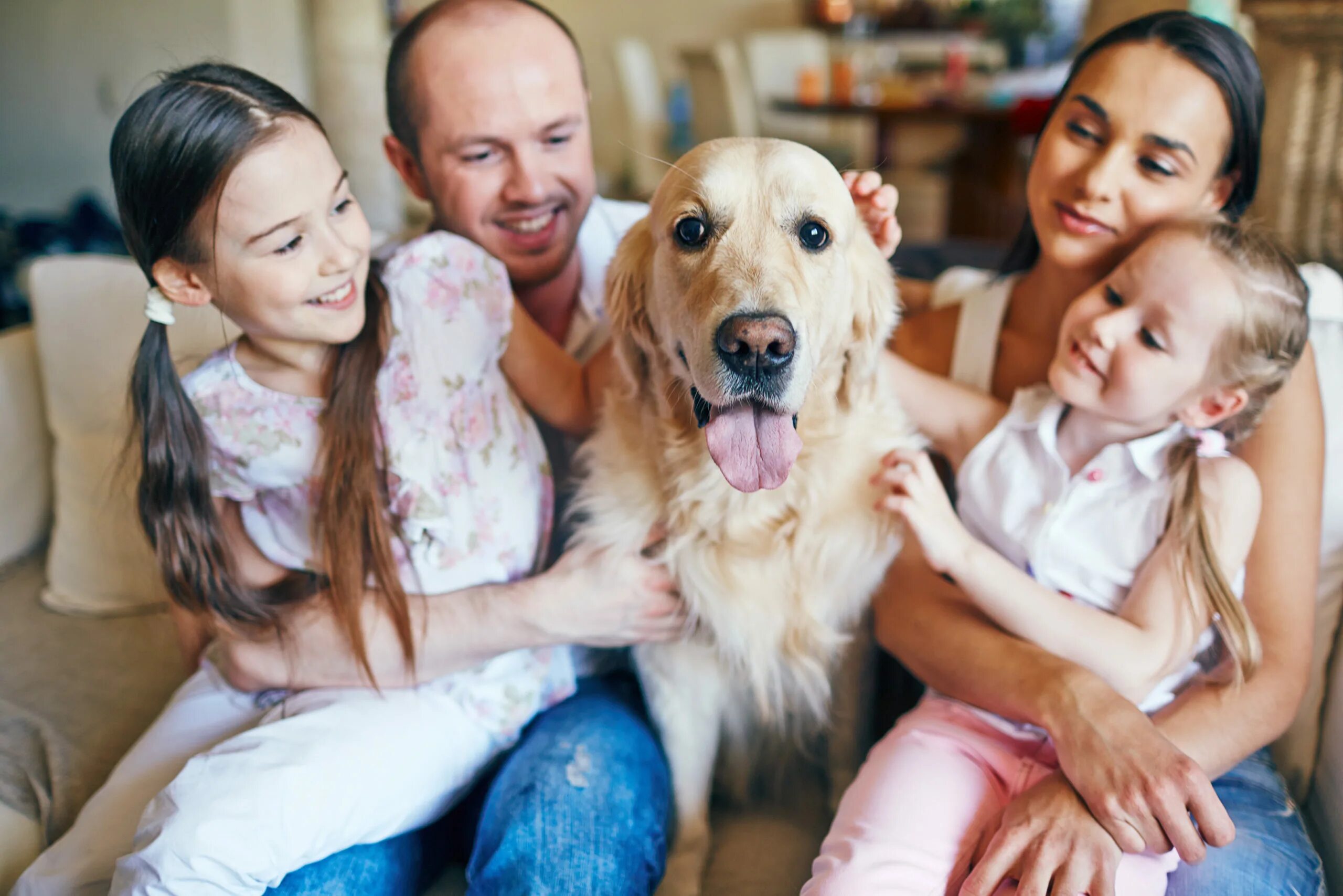 Pet family отзывы. Семья с собакой. Счастливая семья с домашними животными. Семейная фотосессия с собакой. Счастливая семья с собакой.