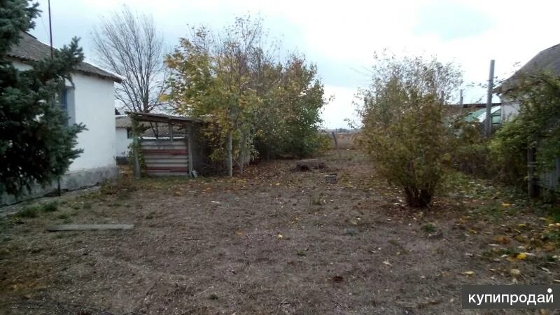 Погода в дрофино. Погода в дрофино. Погода в дрофино. Погода в дрофино. Погода в дрофино.