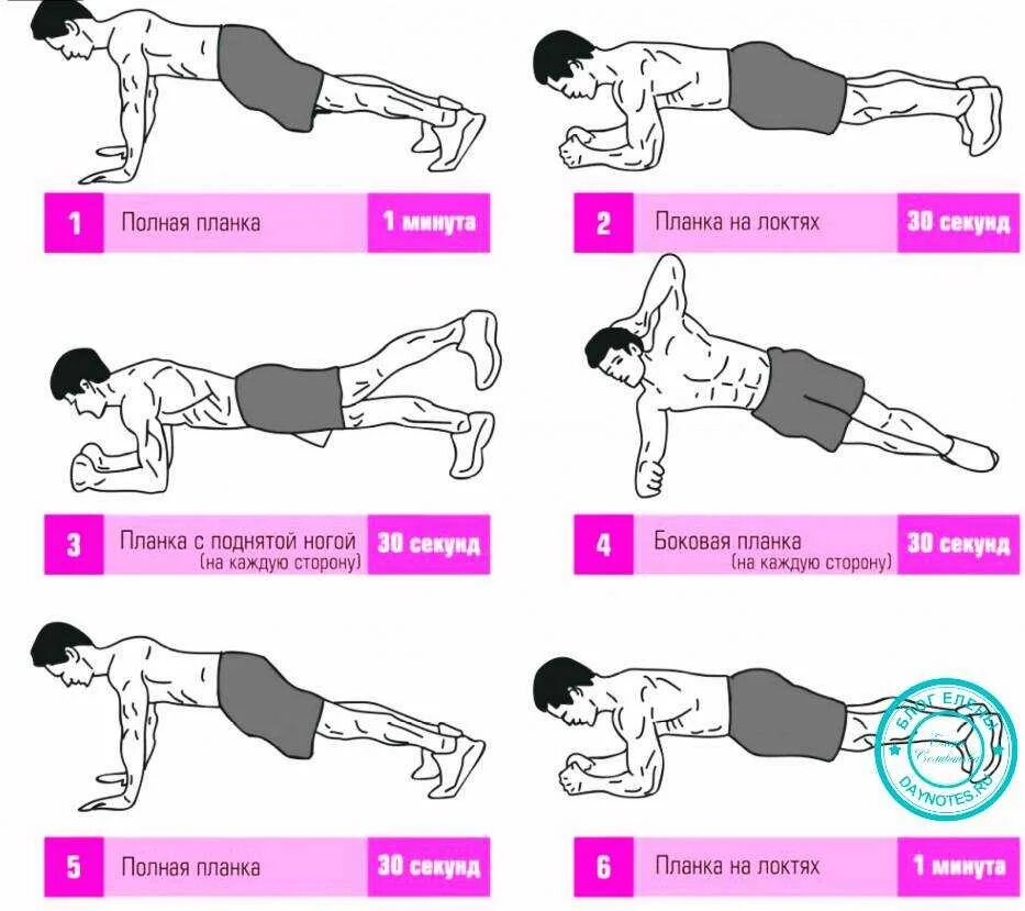 Количество упражнений. Планка упражнение. Планки для похудения живота. Упражнение планка для похудения. Тренировки для похудения планка.