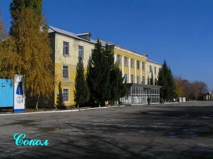 Саратовское высшее авиационное училище