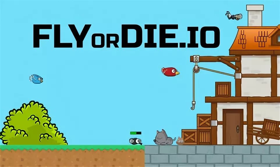 Флайордай. Игру Флай ор. Игра Fly or die io. Fly or die io читы. Картинки FLYORDIE.