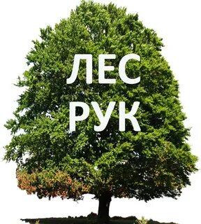 Лес рук текст песни