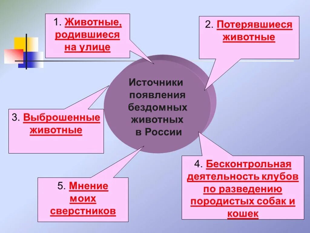 Причины появления бездомных. Источники появления бездомные животные. Причины появления бездомных животных. Причины появления бездомных доклад.