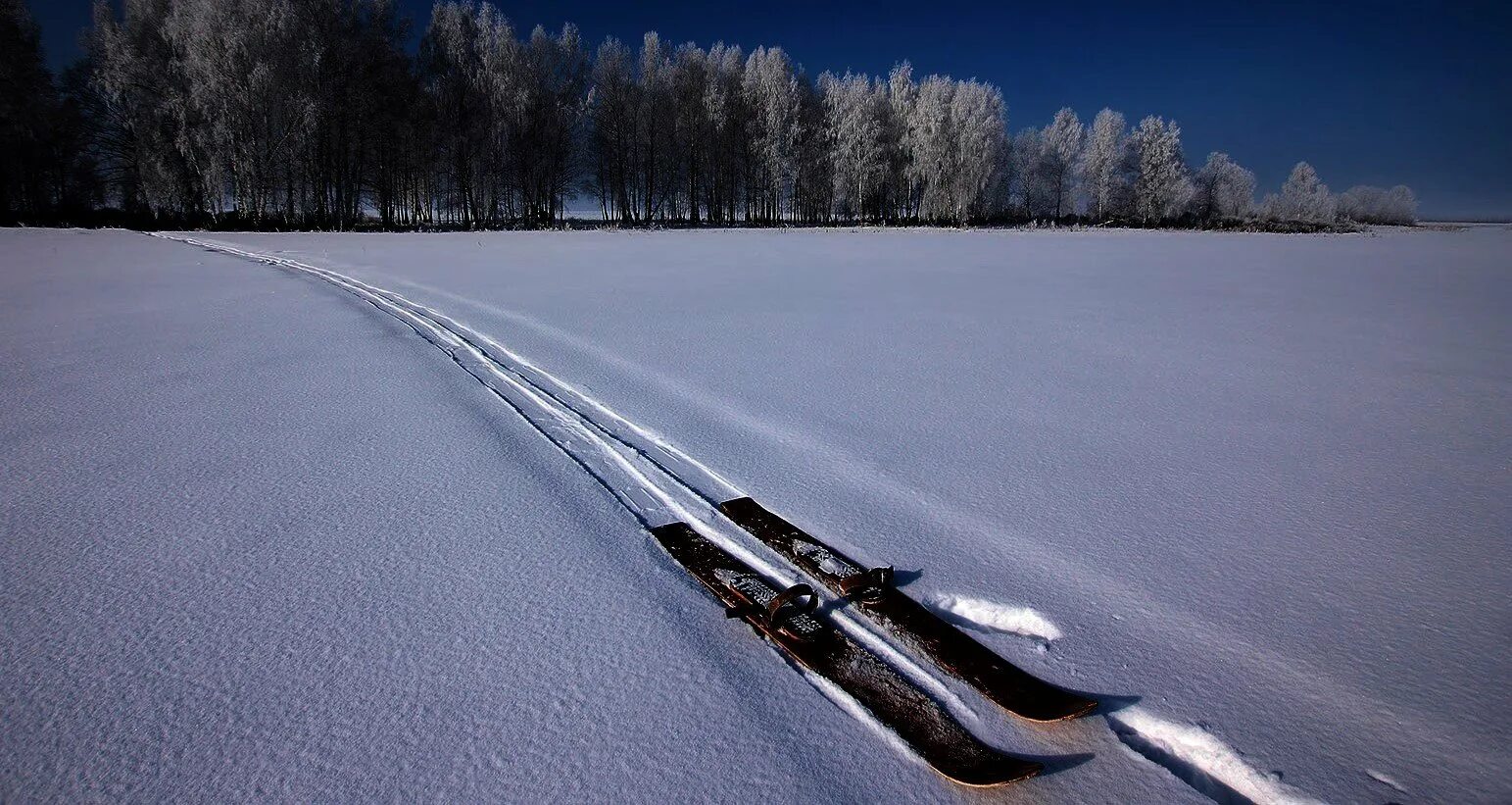 Лыжня в лесу. Лыжная дорога. Изображение лыжная трасса. Лыжные следы на снегу.