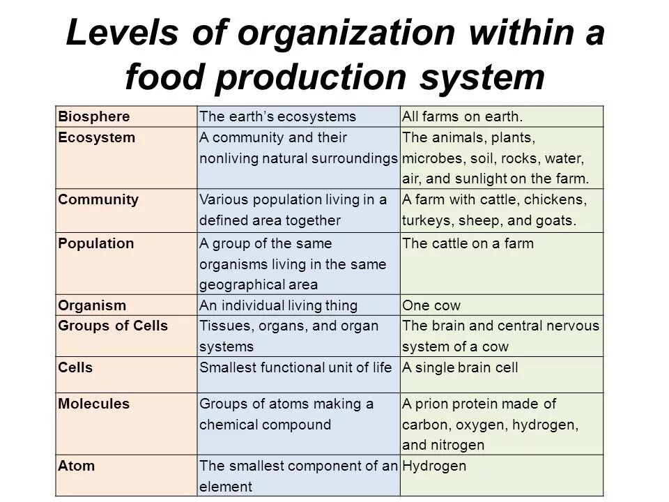 Levels of Organization. Levels of Life Organization. Levels of Organization Cell to Tissues. Biological Organization.