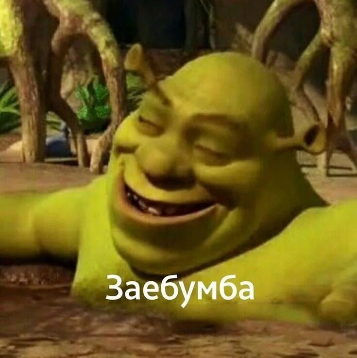 Смешные мемы про шрека все видео 10 популярных идей на тему "meme shrek" для вдохновения