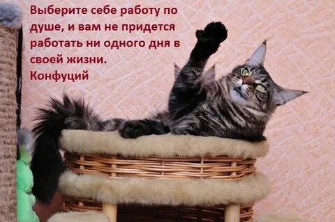 Ни одна работа на свете
