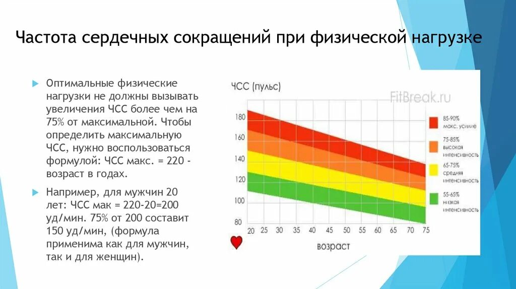 Частота сердечных сокращений за 1 минуту. Частота сердечных сокращений у детей при физических нагрузках. Как изменяется частота сердечных сокращений. Частота пульса после физической нагрузки норма. Частота сердечных сокращений при нагрузке.