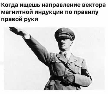 Кину зигу