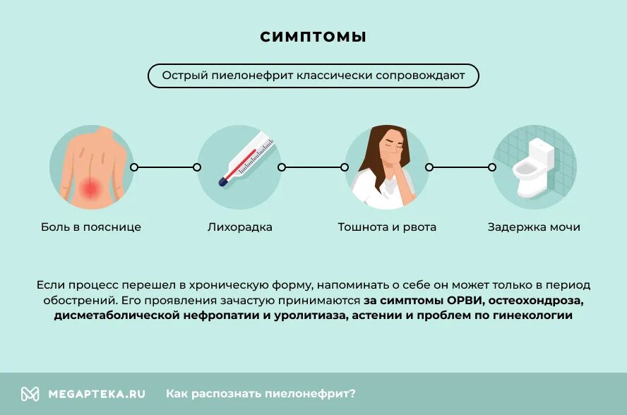 Моча при хроническом пиелонефрите. Локализация боли при пиелонефрите. Хронический пиелонефрит симптомы. Пиелонефрит причины симптомы.