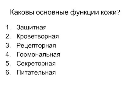 Какие 3 функции выполняет кожа