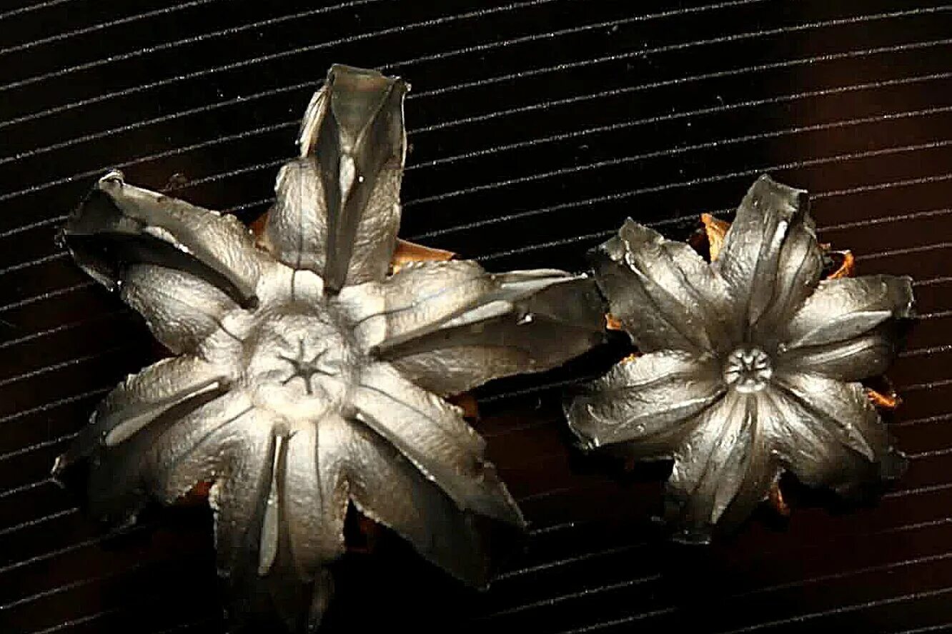 экспансивный. экспансивный патрон 12 калибра. экспансивный. пуля дум дум для 16 калибра. экспансивные пули 9 мм.