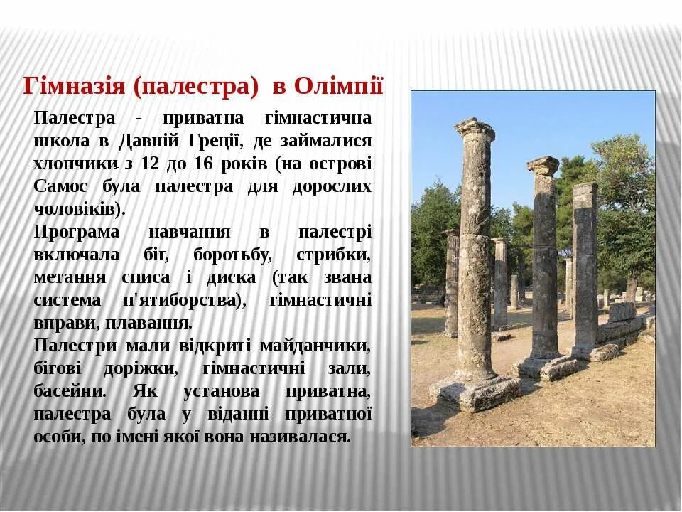 Что такое палестра история 5 класс. Палестра в древней Греции. Гимнасия и Палестра. Школа Палестра в древней Греции. Афинская Палестра.