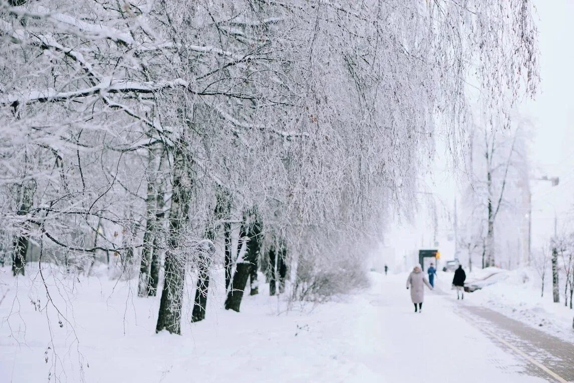 Снежный Ижевск. Фото заснеженный ноябрь. Снежок Кизнер Ижевск. Погода ижевск февраль 2024