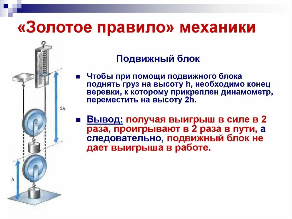 В какую систему входит физика. Рычаг неподвижный и подвижный блоки физика. Физика блоки золотое правило механики. Блоки золотое правило механики физика 7 класс. Золотое правило механики подвижный блок.