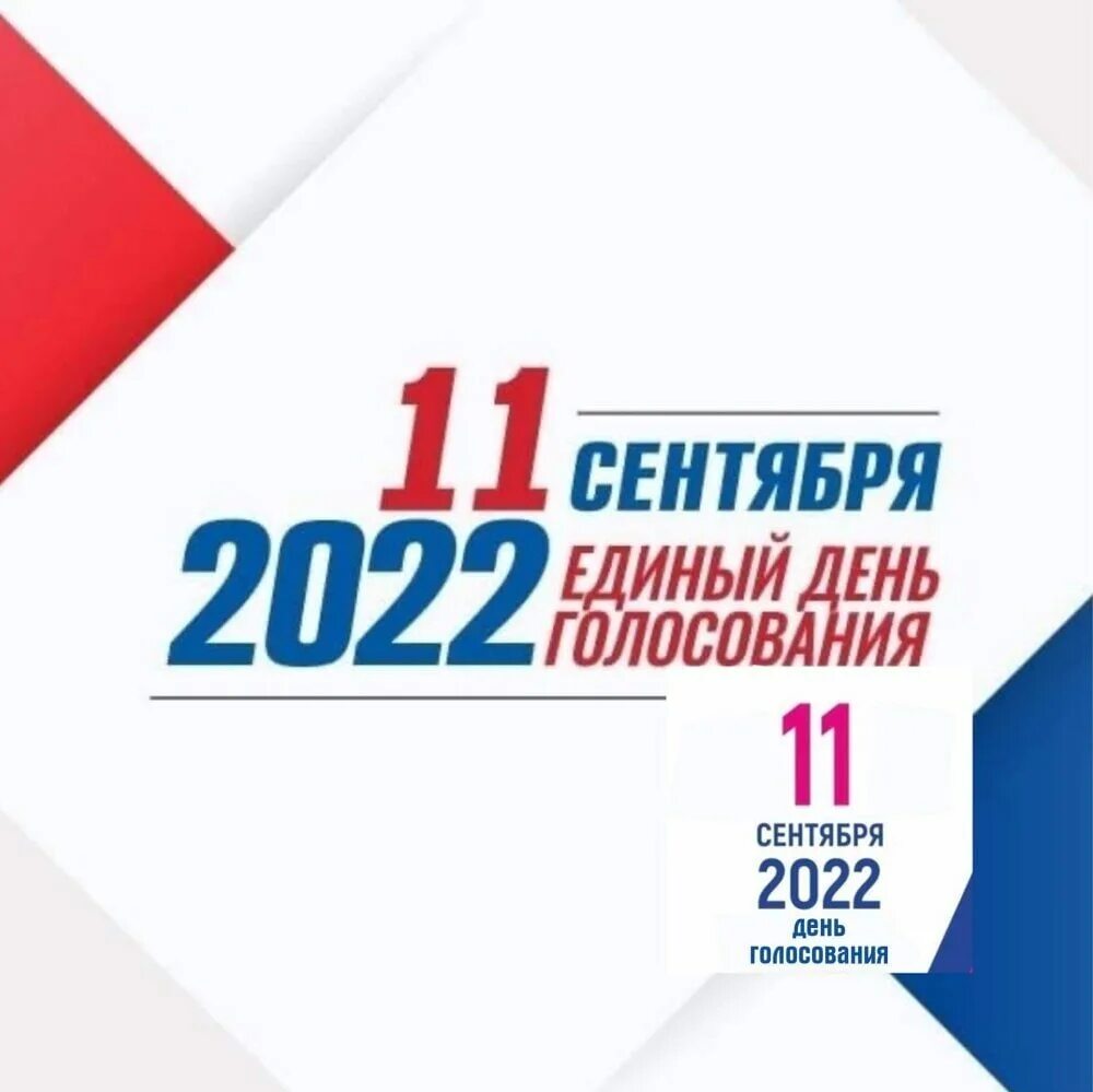 Кто голосует в сентябре. Голосование выборы. День голосования 2022. Выборы мэров 2023. Кто голосует в сентябре.