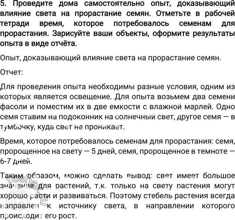 Как влияет на семена освещенность