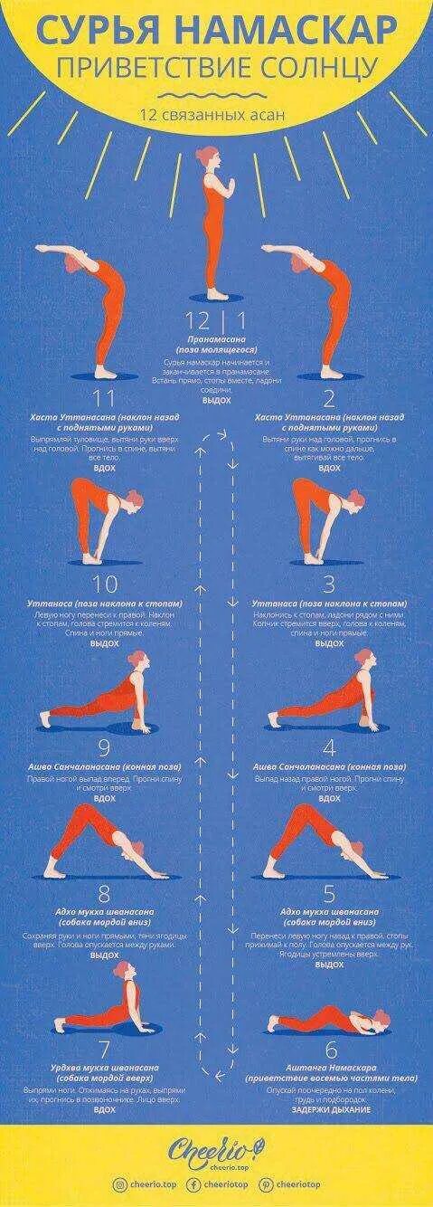 Сурья Намаскар комплекс упражнений. Комплекс Сурья Намаскар Приветствие солнцу. Приветствие солнцу Сурья Намаскар для начинающих. Комплекс асан Сурья Намаскар. Комплекс приветствие солнцу