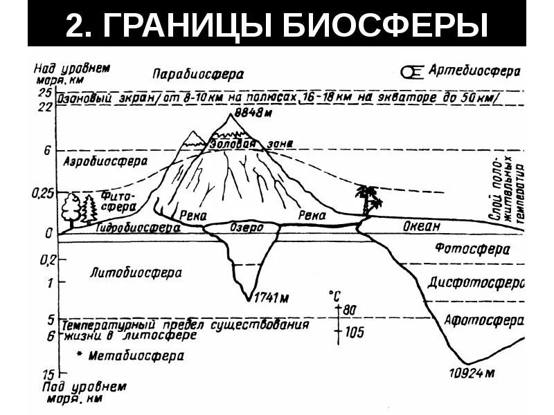 Границы, состав, структура биосферы. Границы биосферы схема. Строение биосферы схема. Обоснуйте границы биосферы.