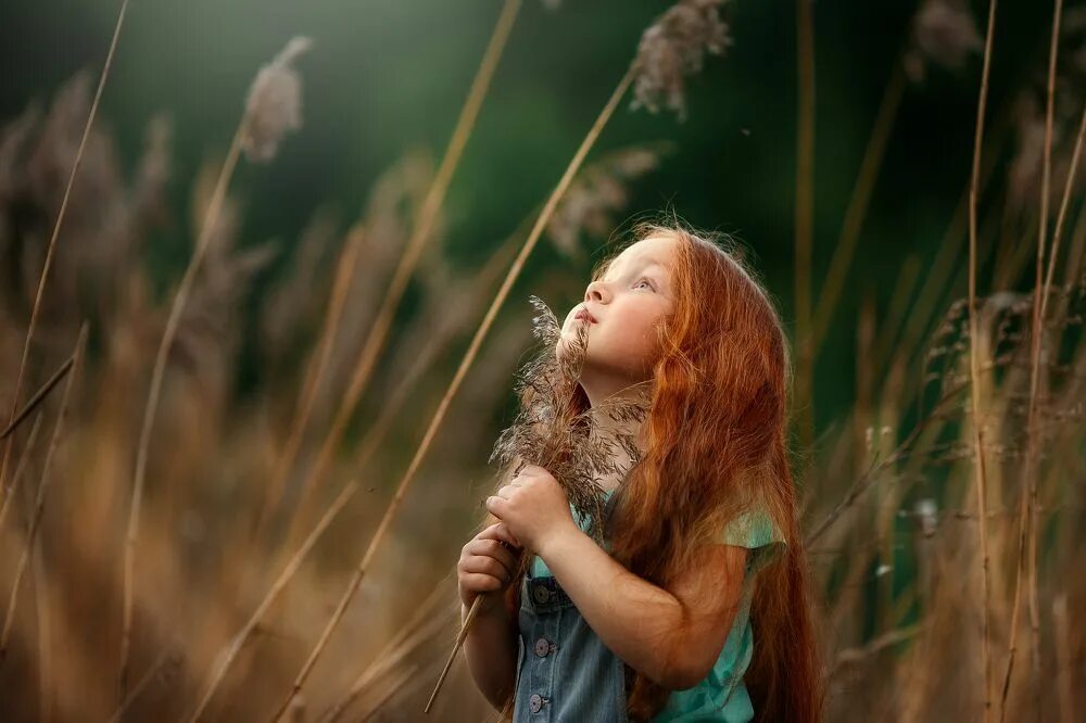 фотограф ангелиос