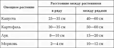 Через сколько сантиметров друг от друга
