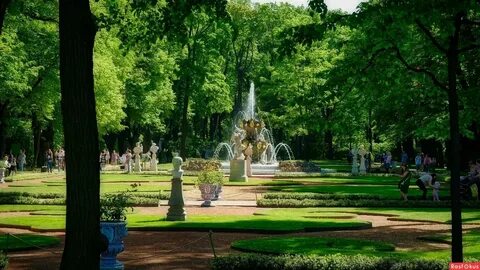 В каком парке погулять в спб