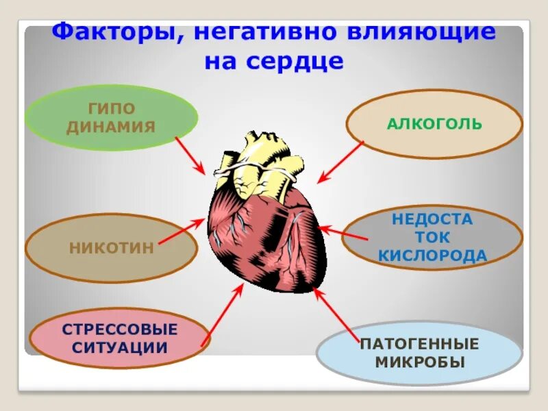 Какие факторы влияют на сердечно сосудистую систему. Факторы влияющие на сердце. факторы влияющие на работу сердца. факторы негативно влияющие на сердечно-сосудистую систему. факторы негативно влияющие на сердце.