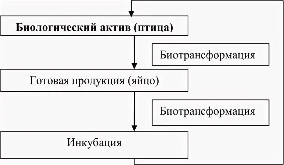 Биологические Активы. Схемы на тему биологические Активы. Биологические Активы в бухгалтерском учете это. Примеры биологических активов. Учет биологических активов