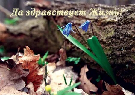 Ну здравствуй новая я