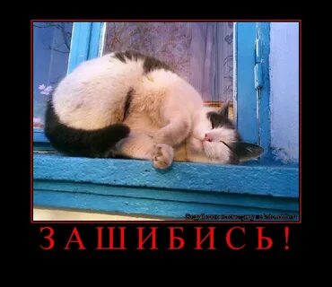 До дому не дошла песня