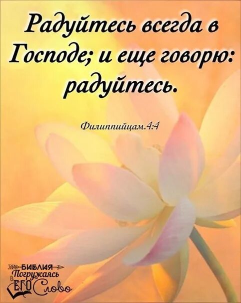 Всегда радуй. Радуйтесь всегда в Господе. Радуйтесь Библия. Радуйтесь всегда радуйтесь Библия. Радуйся в Библии.